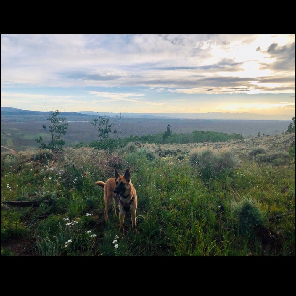 Meet your Posher, Mel